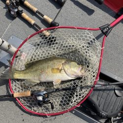 ひさびさ北山田50