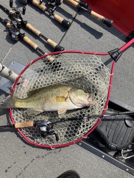 ひさびさ北山田50