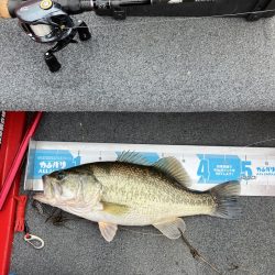 雨の北山田46cm 36cm