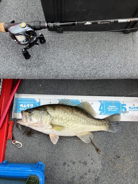 雨の北山田46cm 36cm