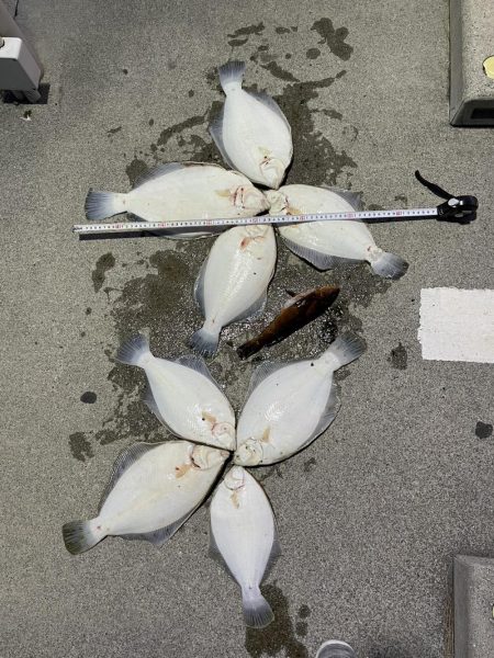 初めての森一　カレイの花