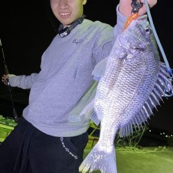 チニングの季節になってきました