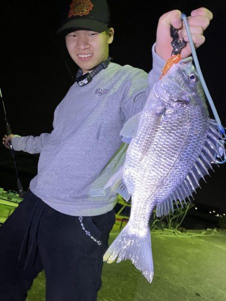 チニングの季節になってきました