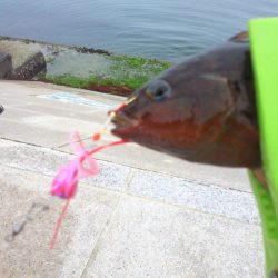 4時間粘って1匹しか釣れませんでした