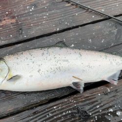 Wつ抜けならず!