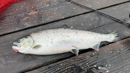 Wつ抜けならず!