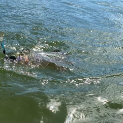 超久々の晴れの日釣行
