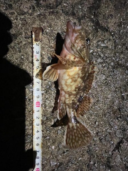 またも、厳しかった…