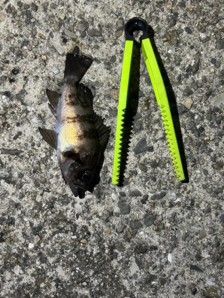 久しぶりの集合