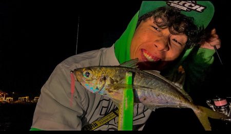 舞洲アジング好調↑