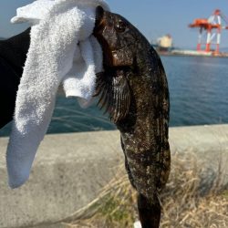 久しぶりの釣り