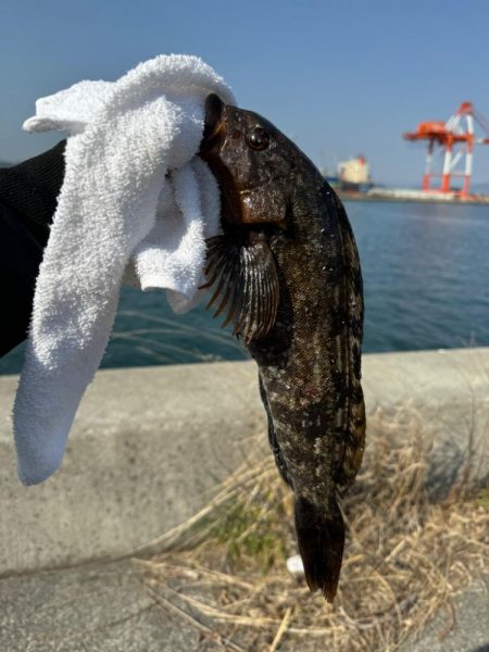 久しぶりの釣り