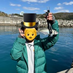 投げサビキしてきました！