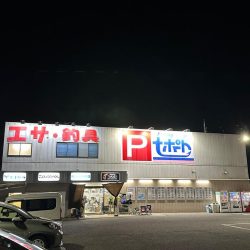 戻りカレイ(花見カレイ)