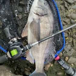 春なのに冬のようなパターンのチニング