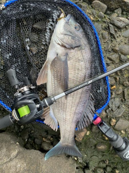 春なのに冬のようなパターンのチニング