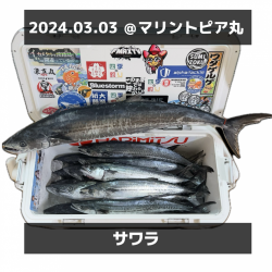 サワラ/ブレードジギング