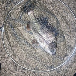 後悔先にたたず