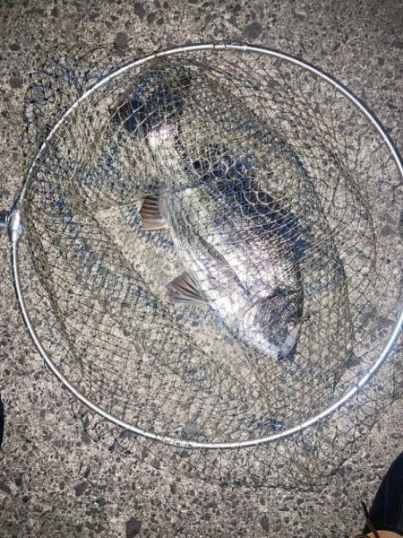 後悔先にたたず