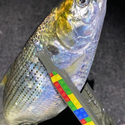 爆風カマシング