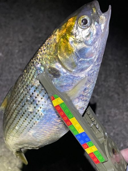 爆風カマシング