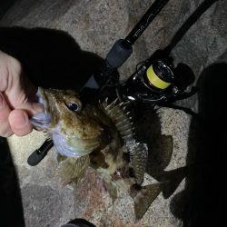 アジポイント探し