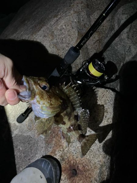 アジポイント探し