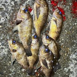 強風ライトゲーム