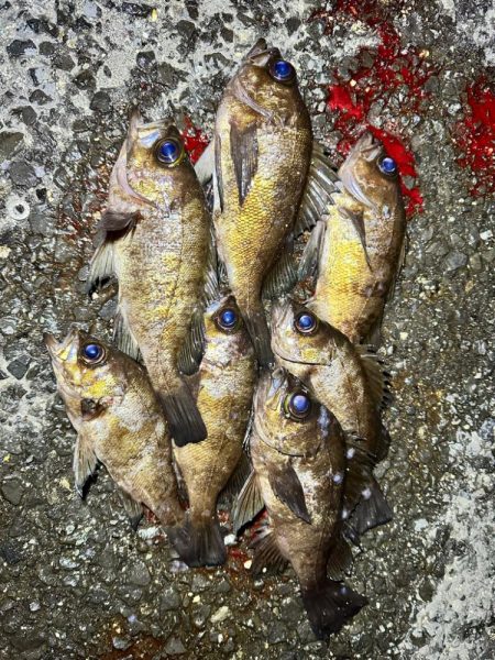 強風ライトゲーム