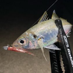 ダートアジング