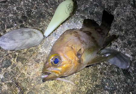 フロートメバリング