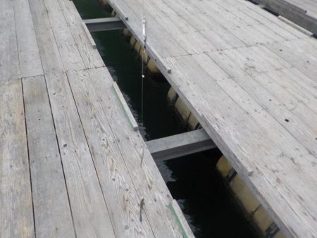 ワカサギ最終戦〜佐仲ダム〜