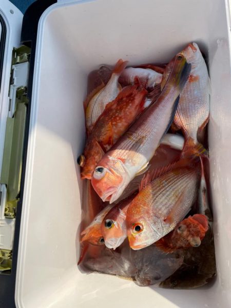 アマダイ釣り