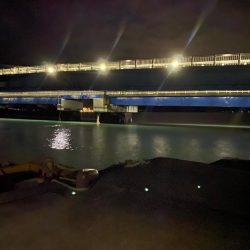 激渋アジング？