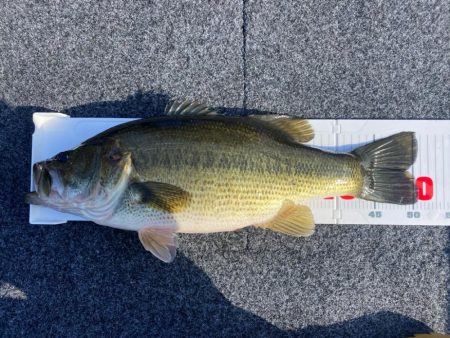 1日ボート釣行！