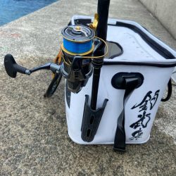 開始3投目でゲット