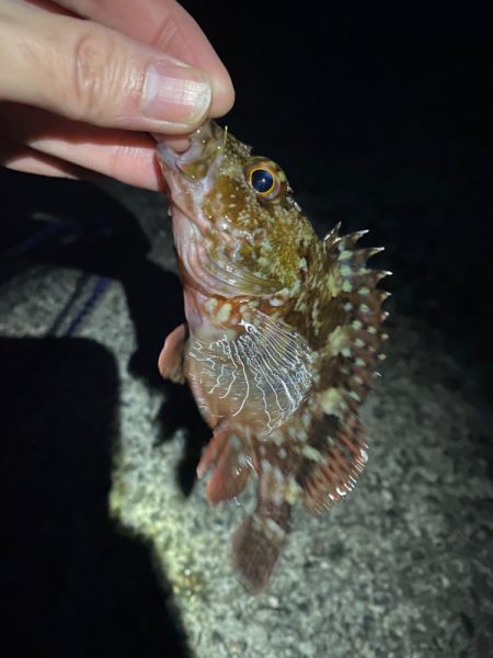 フロートゲーム