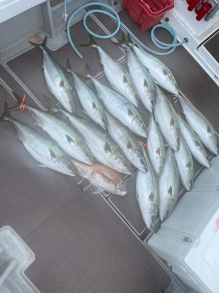 丹後沖ジギング