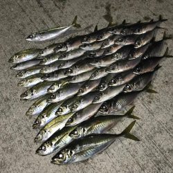 美保湾ボートアジング