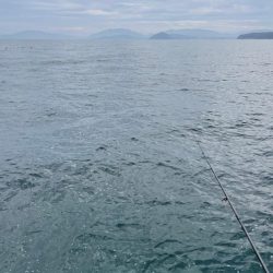 海の中も春に！