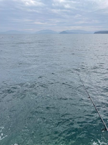 海の中も春に！