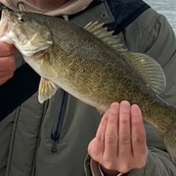 うれしい今年初バス‼️