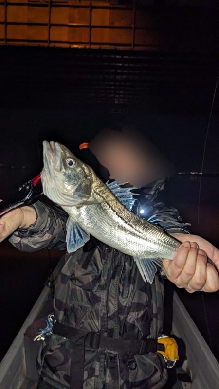 ボートシーバスふ