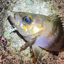 爆風ライトゲーム