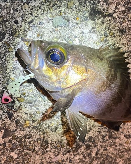 爆風ライトゲーム