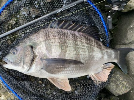 夕方からチニング