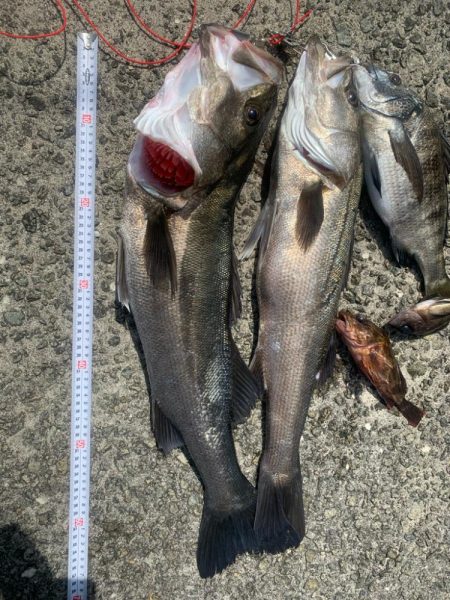 浮が沈むのが見たくて！