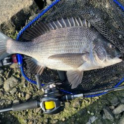 ピーカンベタ凪の沼状態