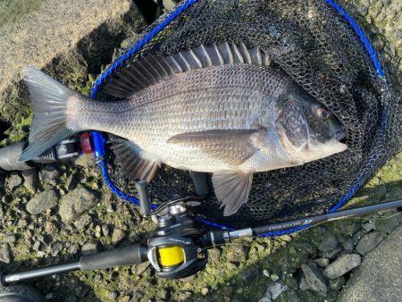 ピーカンベタ凪の沼状態