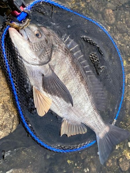 寒さは少し和らいで